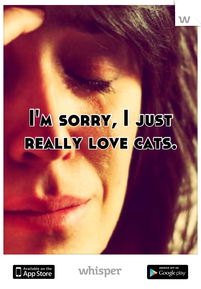 I'm sorry, I just really love cats.