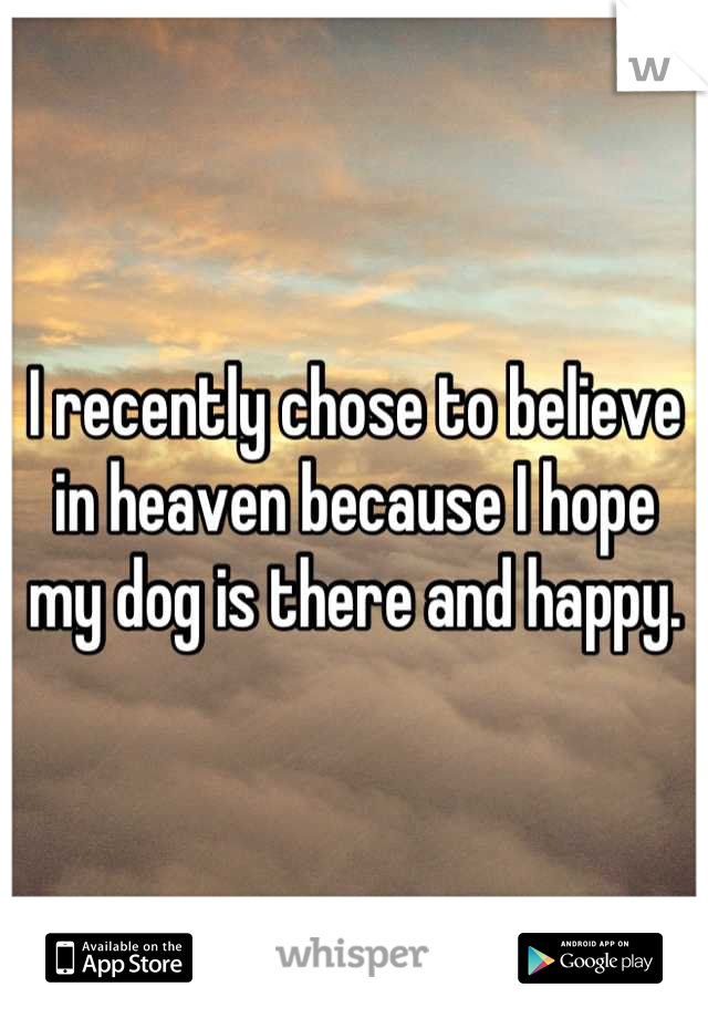 I recently chose to believe in heaven because I hope my dog is there and happy.