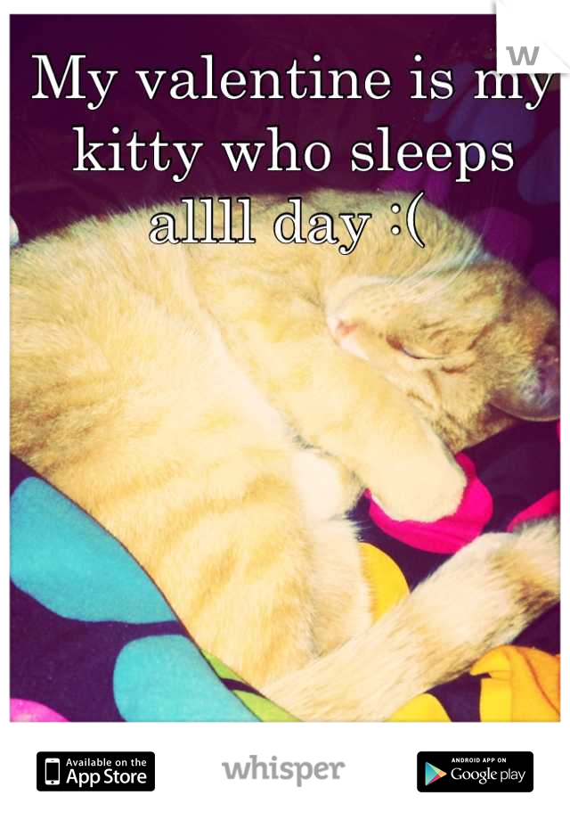 My valentine is my kitty who sleeps allll day :( 