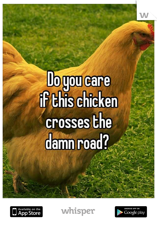Do you care
if this chicken
crosses the
damn road? 