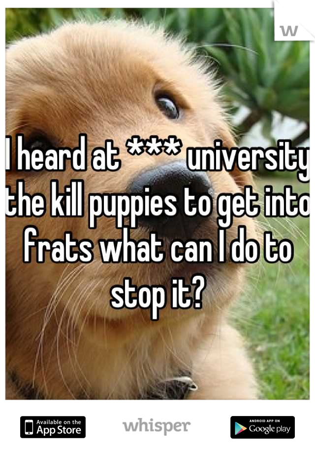 I heard at *** university the kill puppies to get into frats what can I do to stop it?
