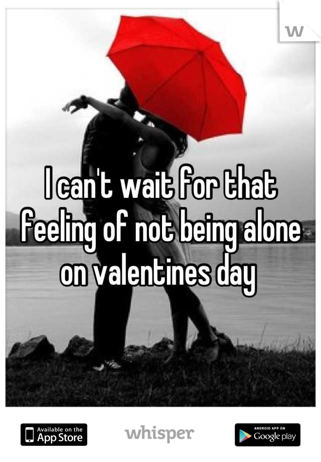I can't wait for that feeling of not being alone on valentines day 