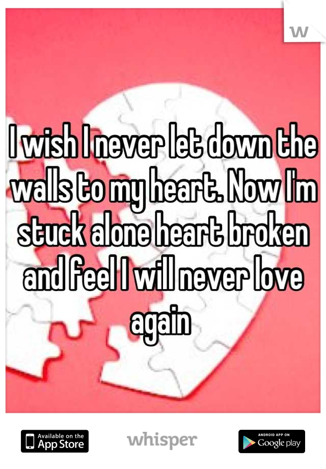 I wish I never let down the walls to my heart. Now I'm stuck alone heart broken and feel I will never love again 