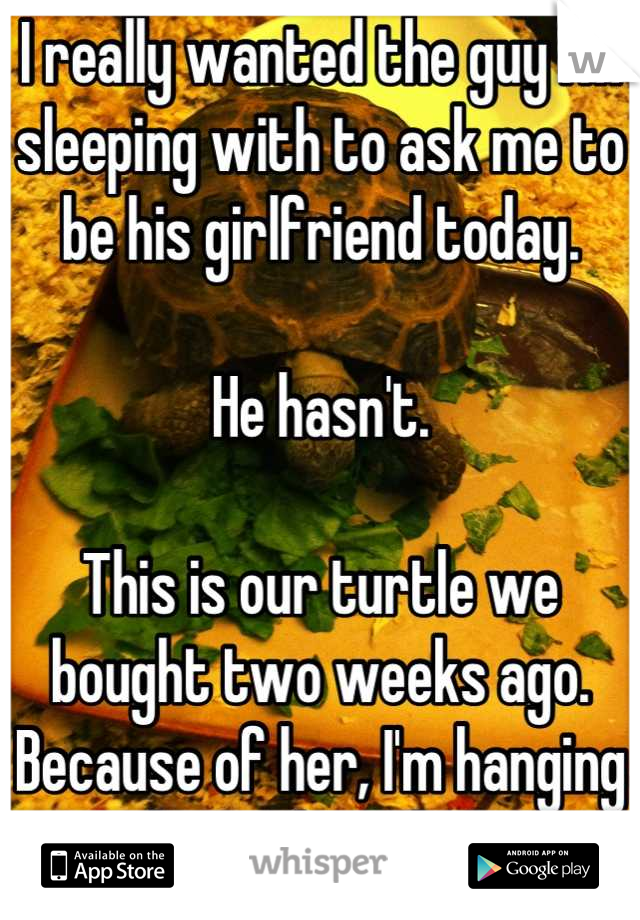 I really wanted the guy I'm sleeping with to ask me to be his girlfriend today. 

He hasn't. 

This is our turtle we bought two weeks ago. Because of her, I'm hanging on in hopes he asks soon. 