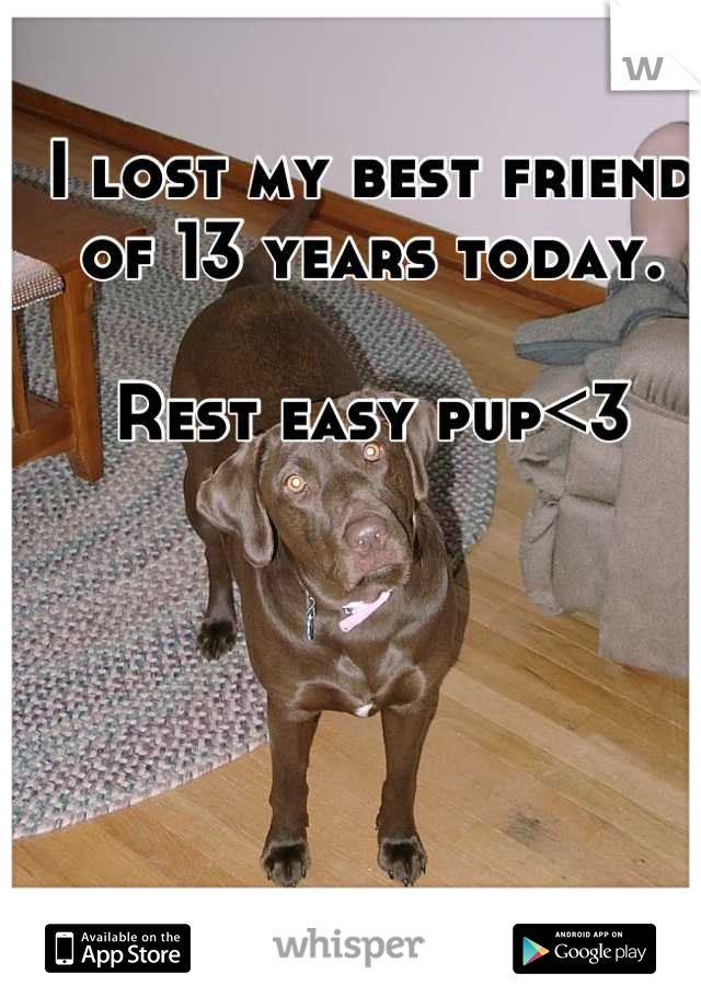 I lost my best friend of 13 years today.

Rest easy pup<3