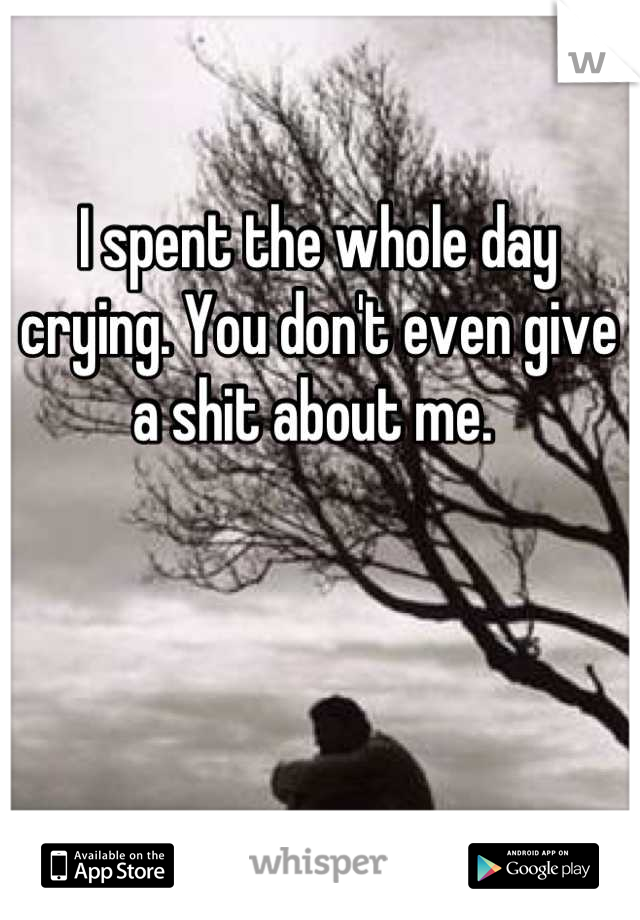 I spent the whole day crying. You don't even give a shit about me. 