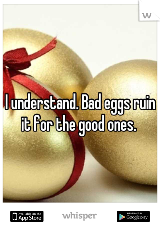 I understand. Bad eggs ruin it for the good ones. 