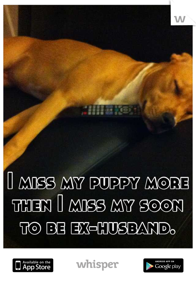 I miss my puppy more then I miss my soon to be ex-husband.