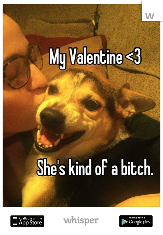 My Valentine <3




She's kind of a bitch.