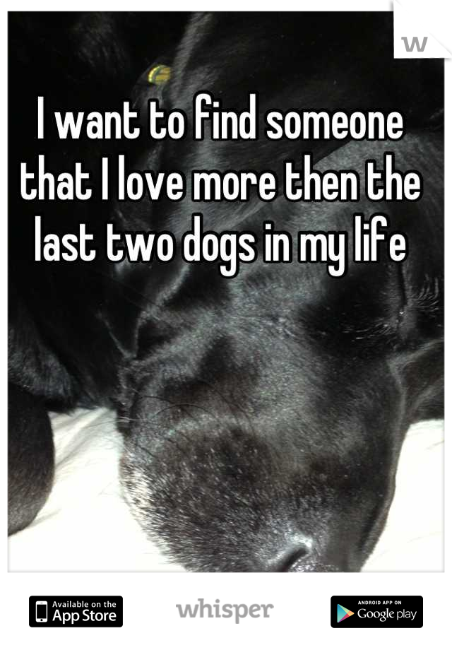 I want to find someone that I love more then the last two dogs in my life