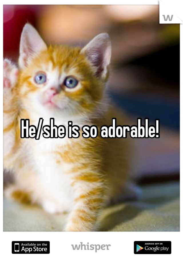 He/she is so adorable! 