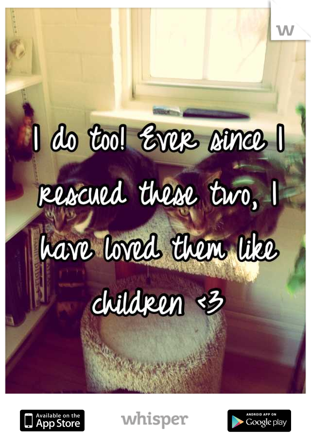 I do too! Ever since I rescued these two, I have loved them like children <3