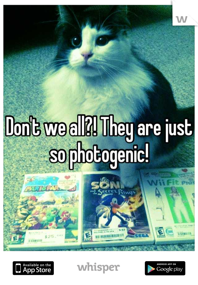 Don't we all?! They are just so photogenic!