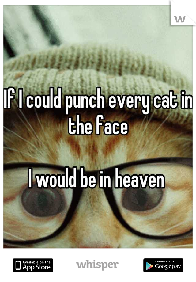 If I could punch every cat in the face 

I would be in heaven 