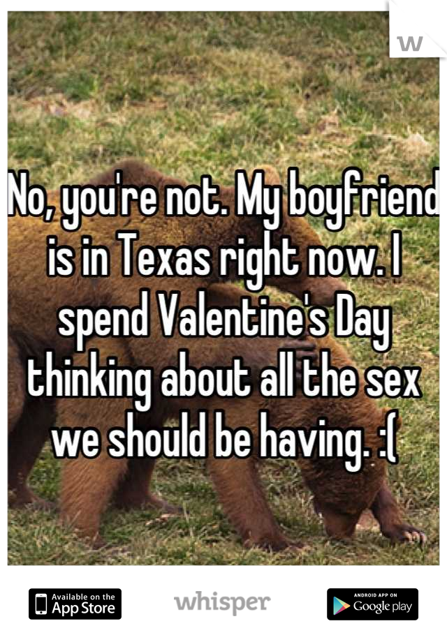 No, you're not. My boyfriend is in Texas right now. I spend Valentine's Day thinking about all the sex we should be having. :(