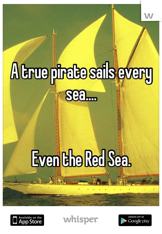 A true pirate sails every sea....


Even the Red Sea.
