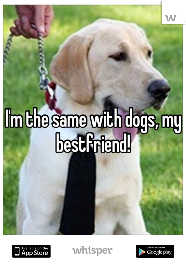 I'm the same with dogs, my bestfriend!