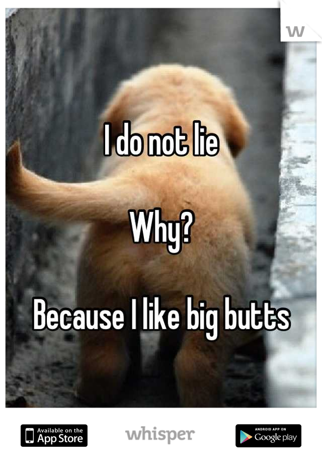 I do not lie

Why?

Because I like big butts