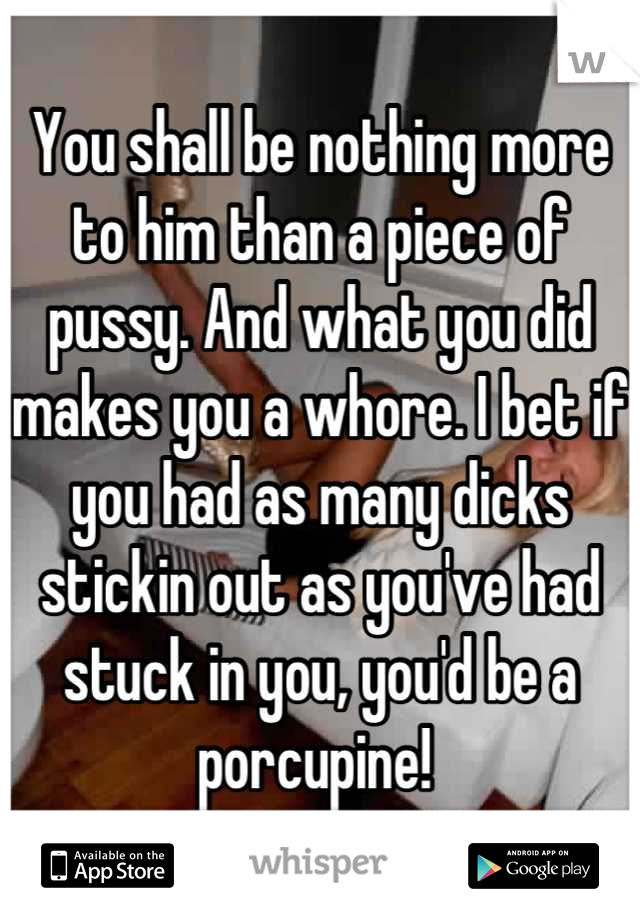 You shall be nothing more to him than a piece of pussy. And what you did makes you a whore. I bet if you had as many dicks stickin out as you've had stuck in you, you'd be a porcupine! 