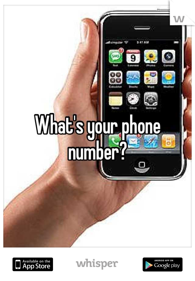 What's your phone number?