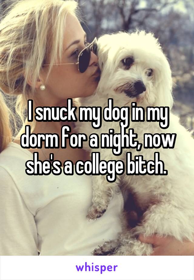 I snuck my dog in my dorm for a night, now she's a college bitch. 