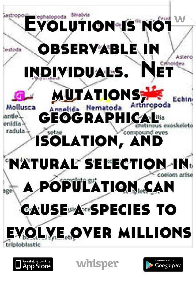 Evolution is not observable in individuals.  Net mutations, geographical isolation, and natural selection in a population can cause a species to evolve over millions of years. 