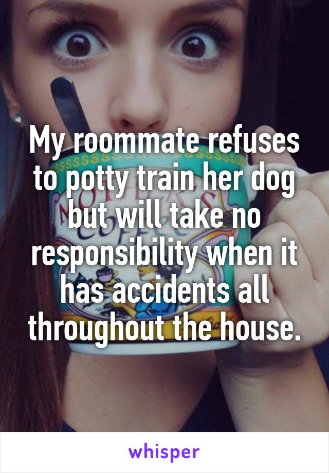 My roommate refuses to potty train her dog but will take no responsibility when it has accidents all throughout the house.