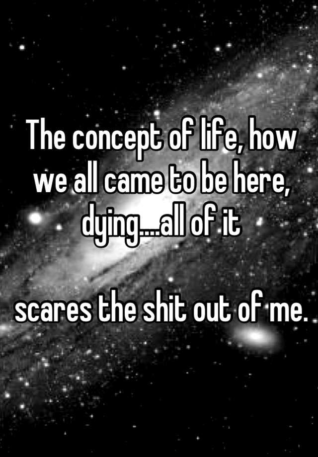 the-concept-of-life-how-we-all-came-to-be-here-dying-all-of-it