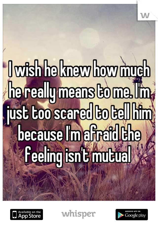 I wish he knew how much he really means to me. I'm just too scared to tell him because I'm afraid the feeling isn't mutual 