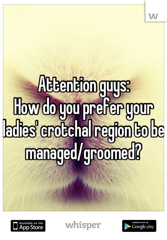 Attention guys:
How do you prefer your ladies' crotchal region to be managed/groomed?
