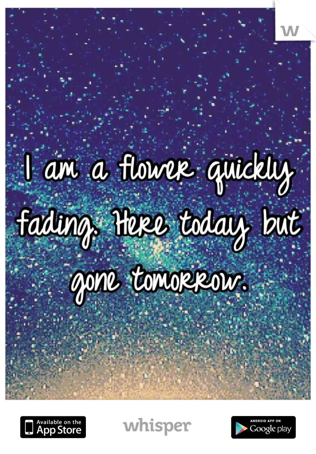 I am a flower quickly fading. Here today but gone tomorrow.