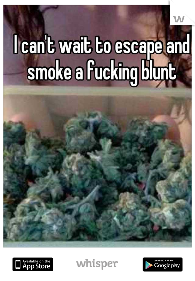 I can't wait to escape and smoke a fucking blunt