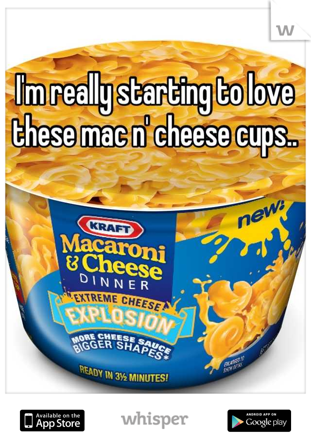 I'm really starting to love these mac n' cheese cups..