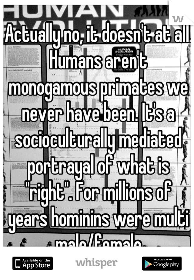 Actually no, it doesn't at all. Humans aren't monogamous primates we never have been. It's a socioculturally mediated portrayal of what is "right". For millions of years hominins were multi male/female