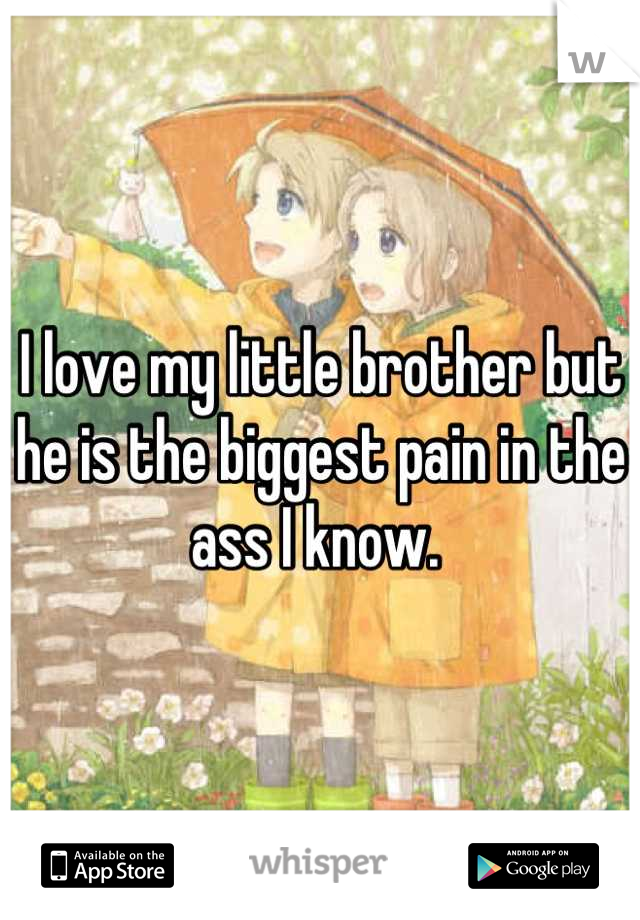 I love my little brother but he is the biggest pain in the ass I know. 