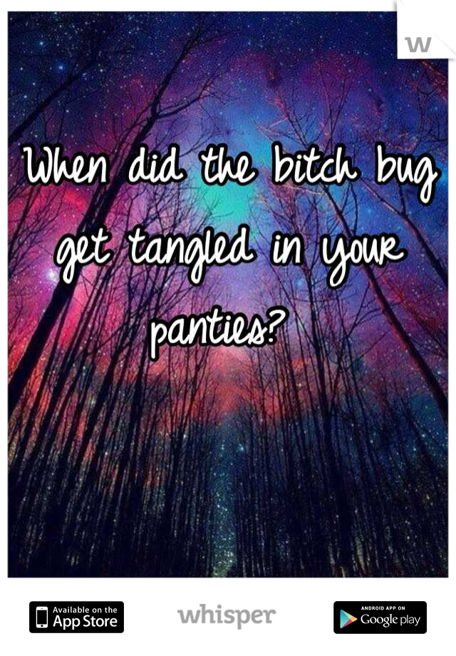 When did the bitch bug get tangled in your panties? 
