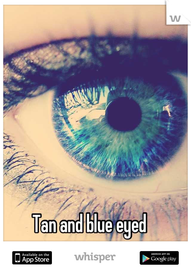 Tan and blue eyed
