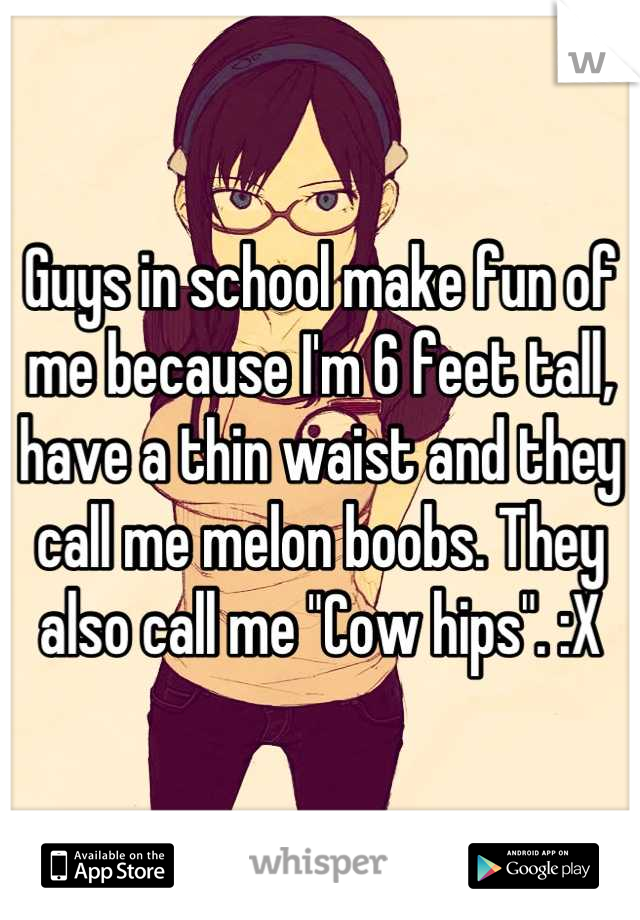 Guys in school make fun of me because I'm 6 feet tall, have a thin waist and they call me melon boobs. They also call me "Cow hips". :X