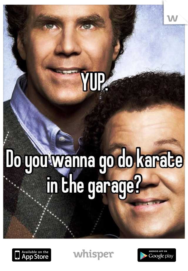 YUP.


Do you wanna go do karate in the garage?