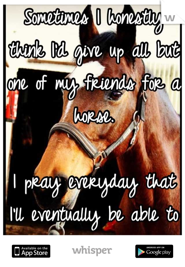 Sometimes I honestly think I'd give up all but one of my friends for a horse.

I pray everyday that I'll eventually be able to afford one.