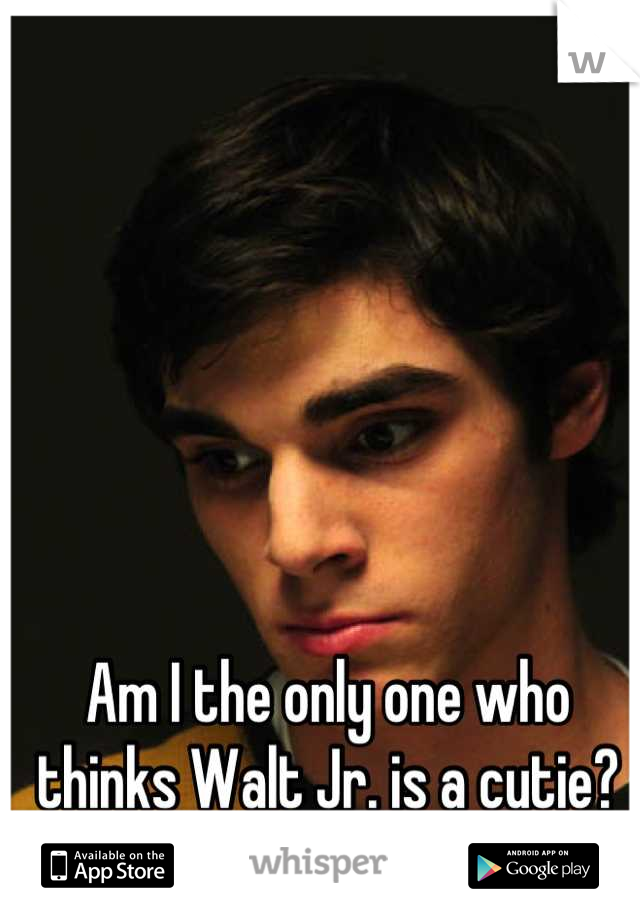 Am I the only one who thinks Walt Jr. is a cutie?
