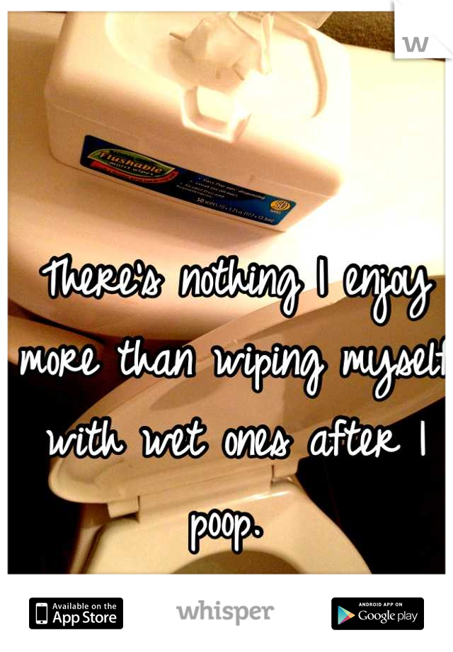 There's nothing I enjoy more than wiping myself with wet ones after I poop. 