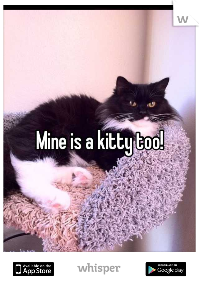 Mine is a kitty too!