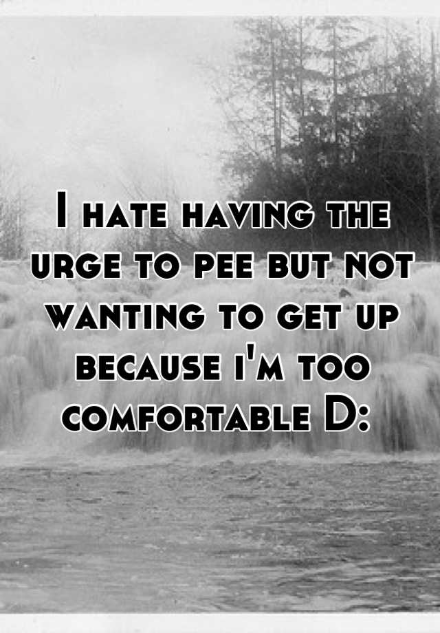 i-hate-having-the-urge-to-pee-but-not-wanting-to-get-up-because-i-m-too