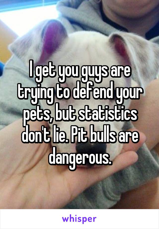 I get you guys are trying to defend your pets, but statistics don't lie. Pit bulls are dangerous.