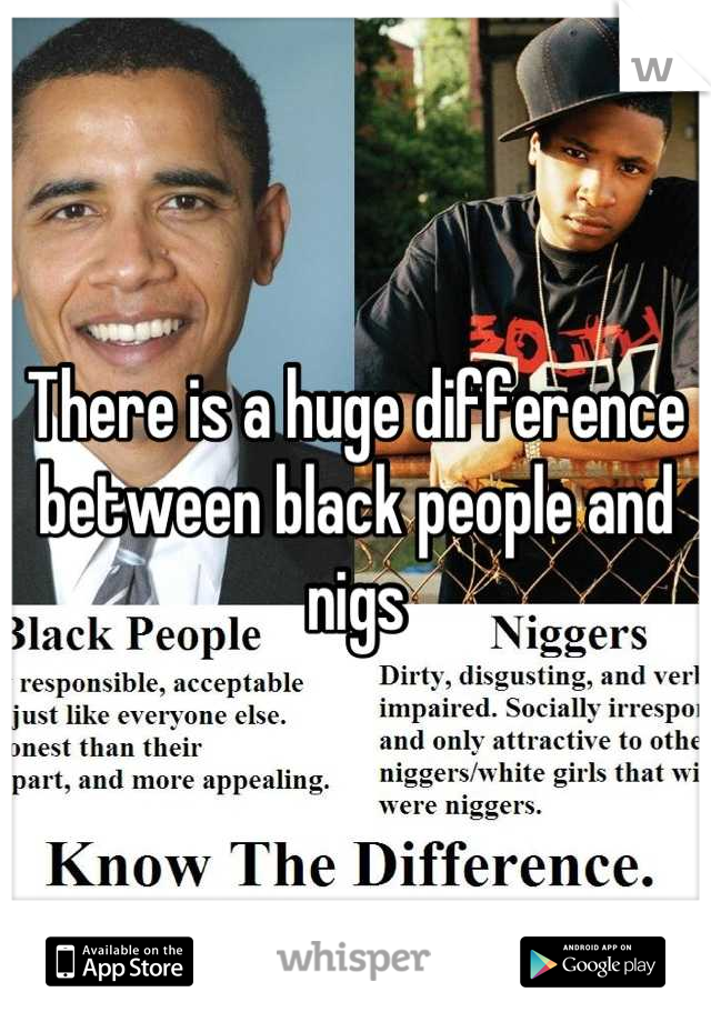 There is a huge difference between black people and nigs