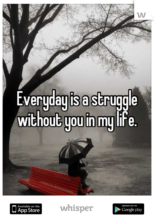 Everyday is a struggle without you in my life.
