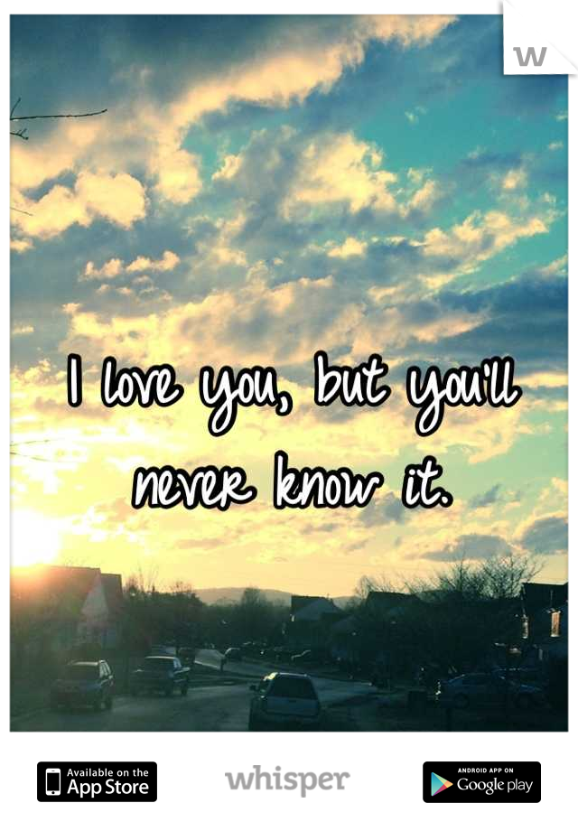 I love you, but you'll never know it.