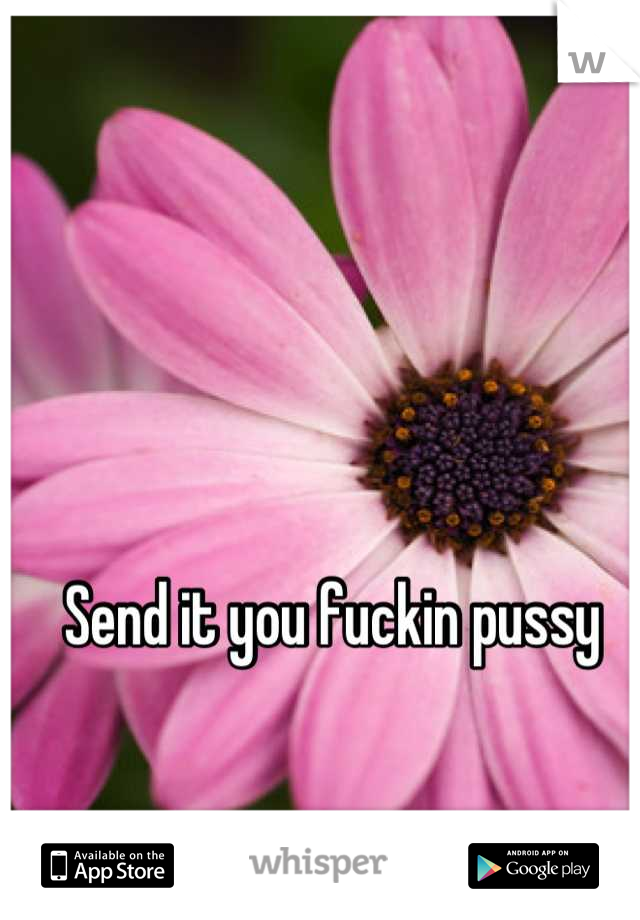 Send it you fuckin pussy 