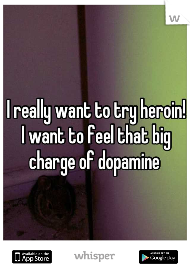 I really want to try heroin! I want to feel that big charge of dopamine 
